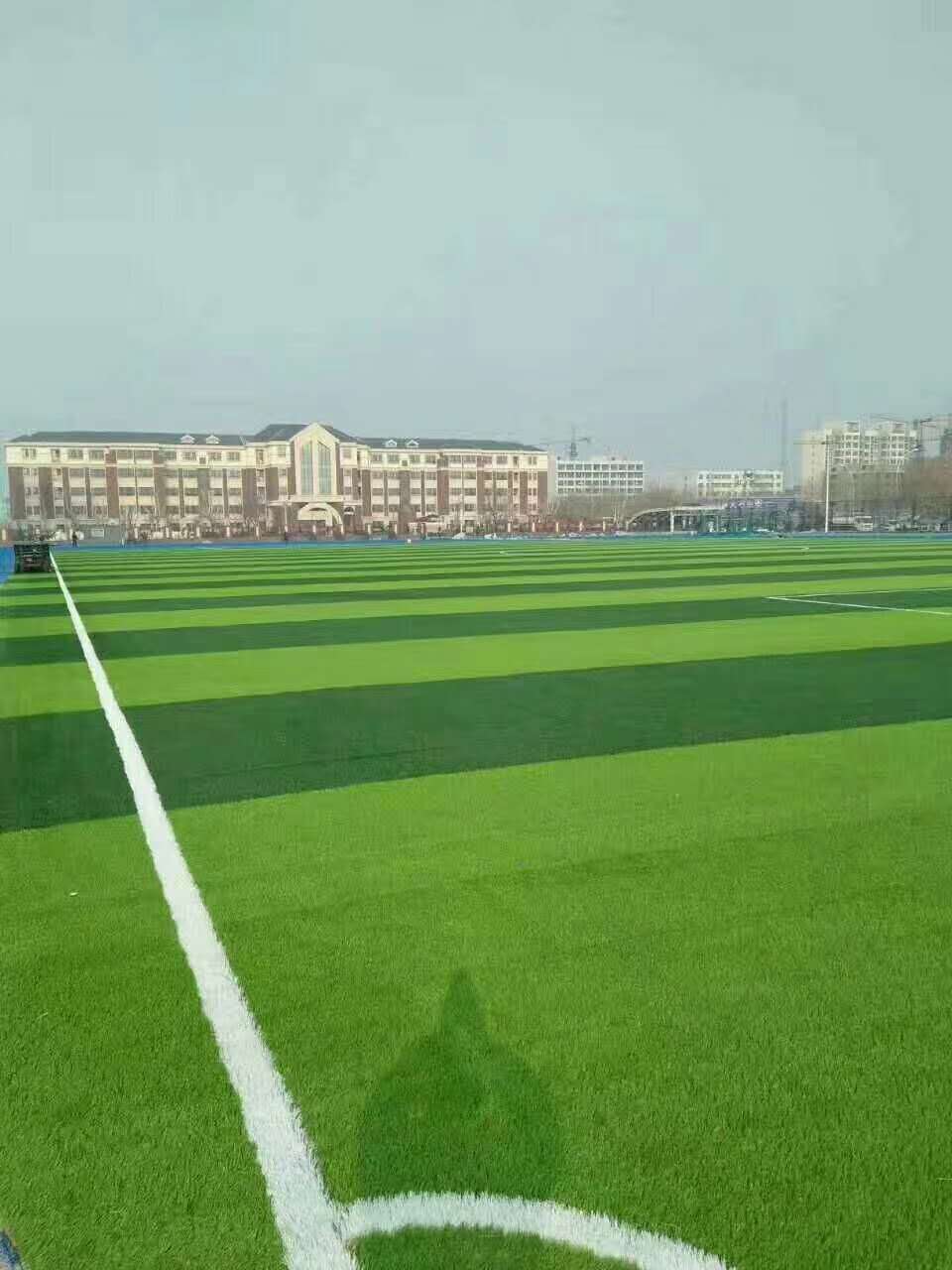 平凉市彩色epdm颗粒仿真草坪 - 方案